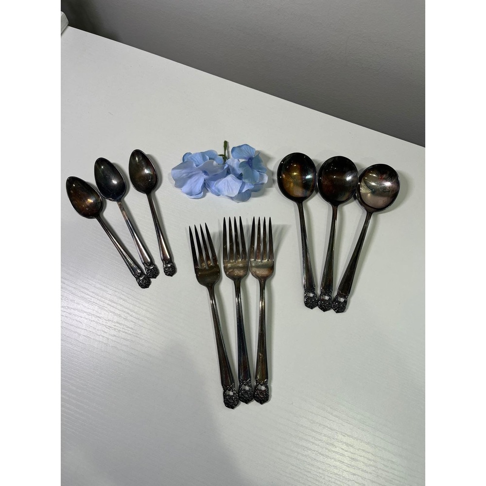 1847 Rogers Bros Eternally Yours Silverplate Flatware‎ 9pc Set Forks Spoons IS
